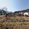 초계변씨 백원공파 상주 종친회_3