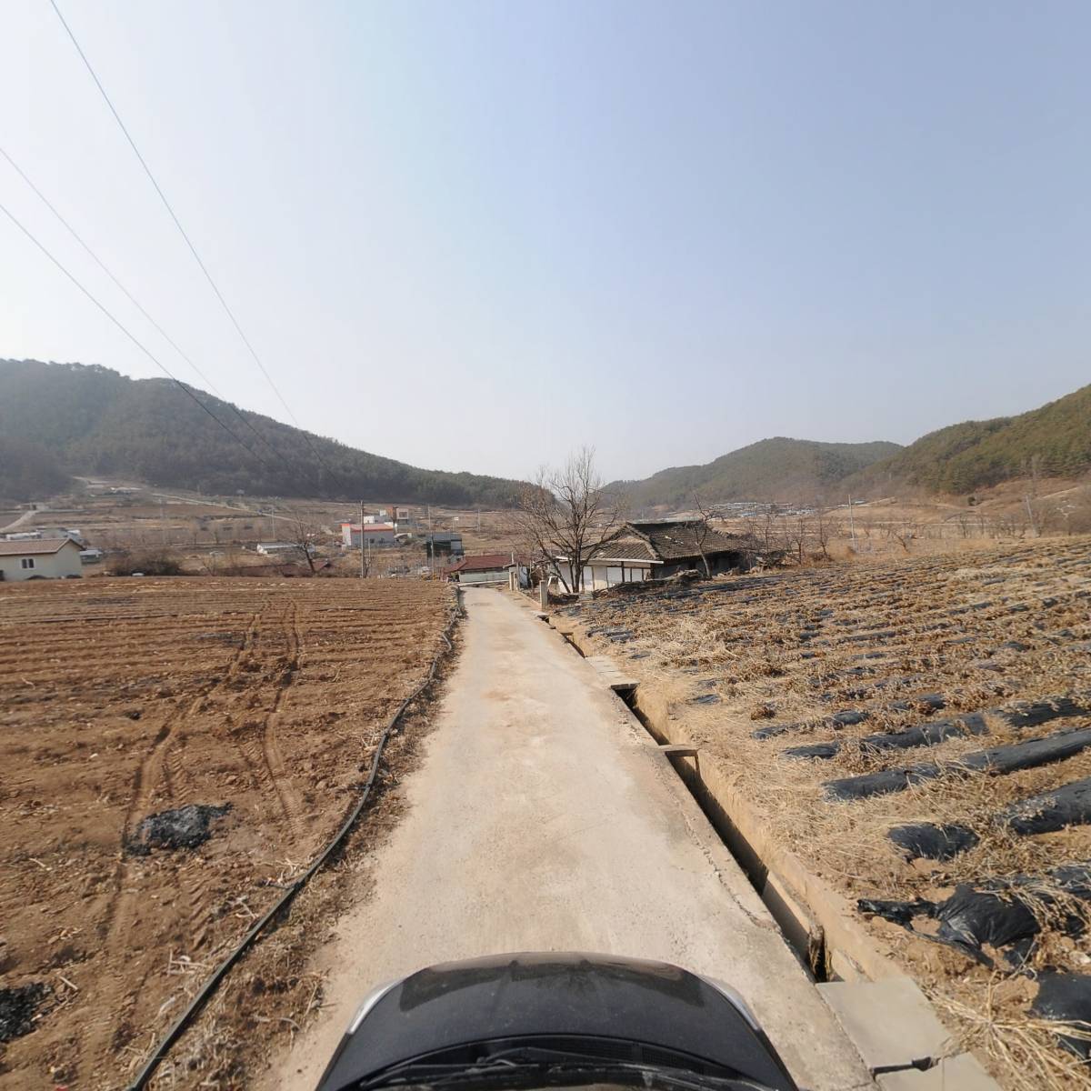 늘푸른농장_4