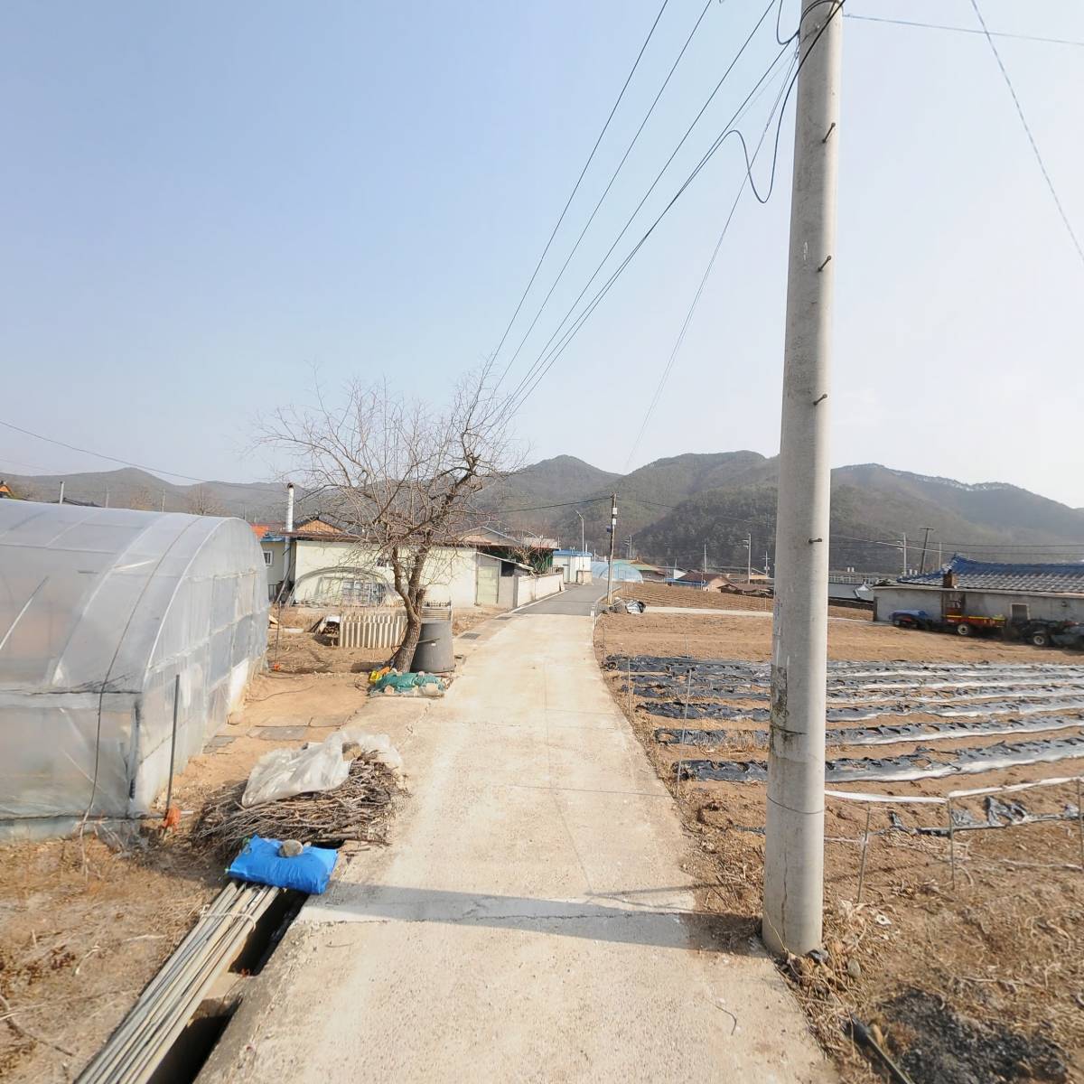 늘푸른농장_2