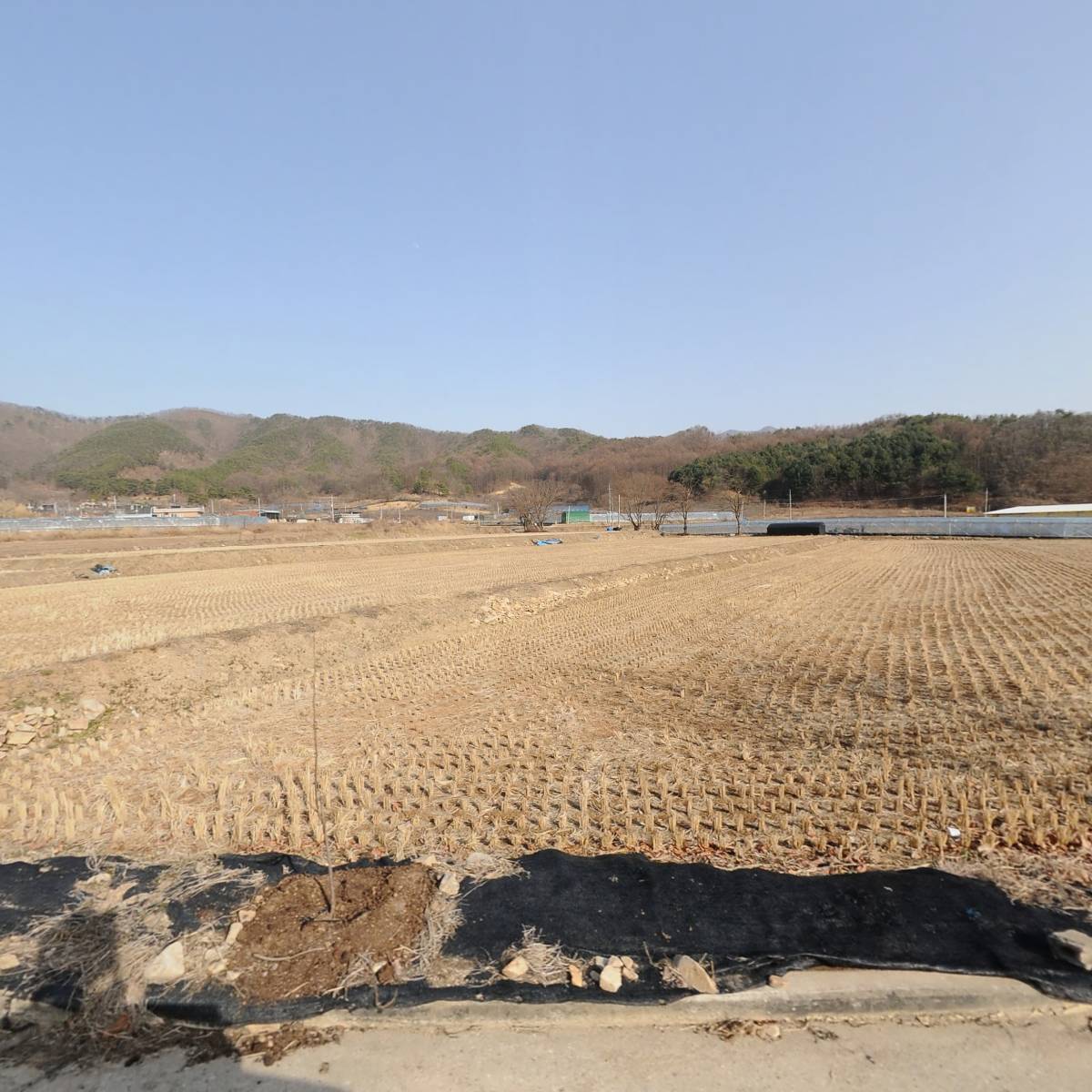 내가그린 그림농원