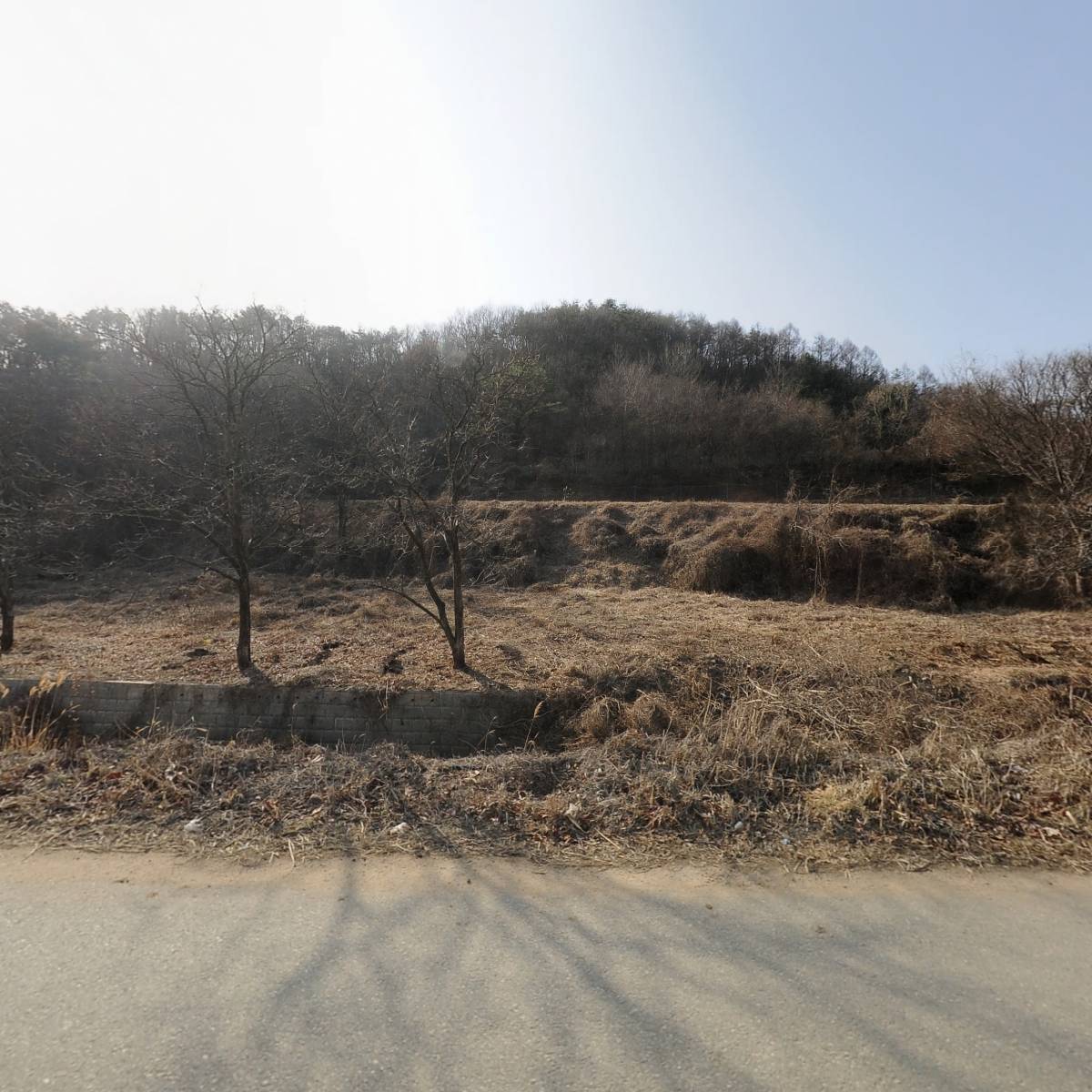 내가그린 그림농원_3