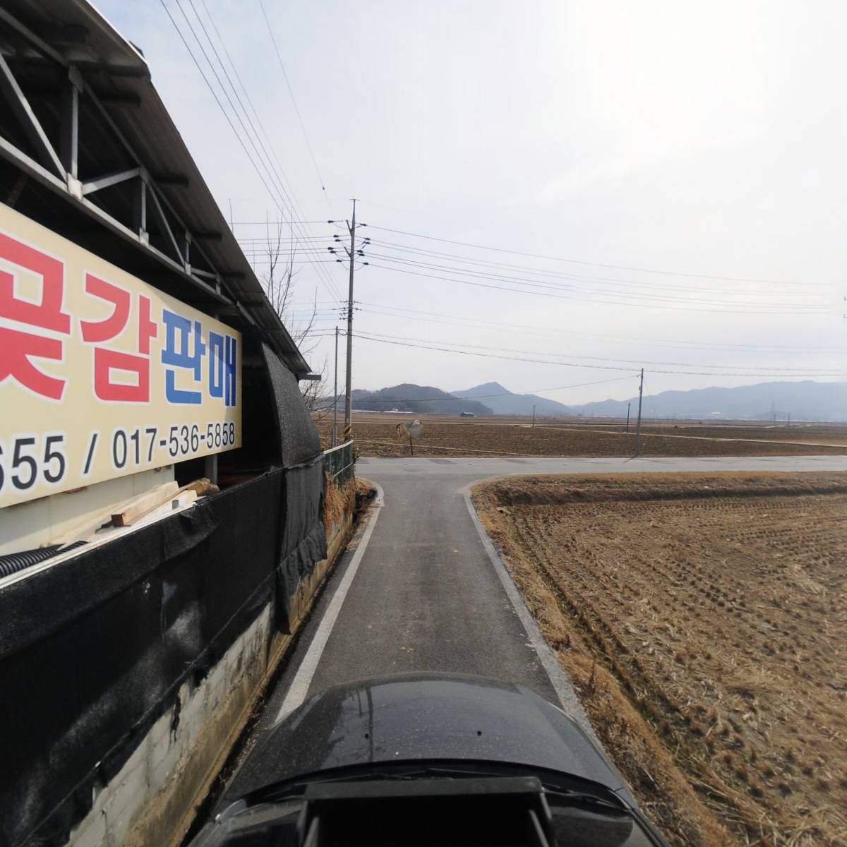 상주명품곶감_4