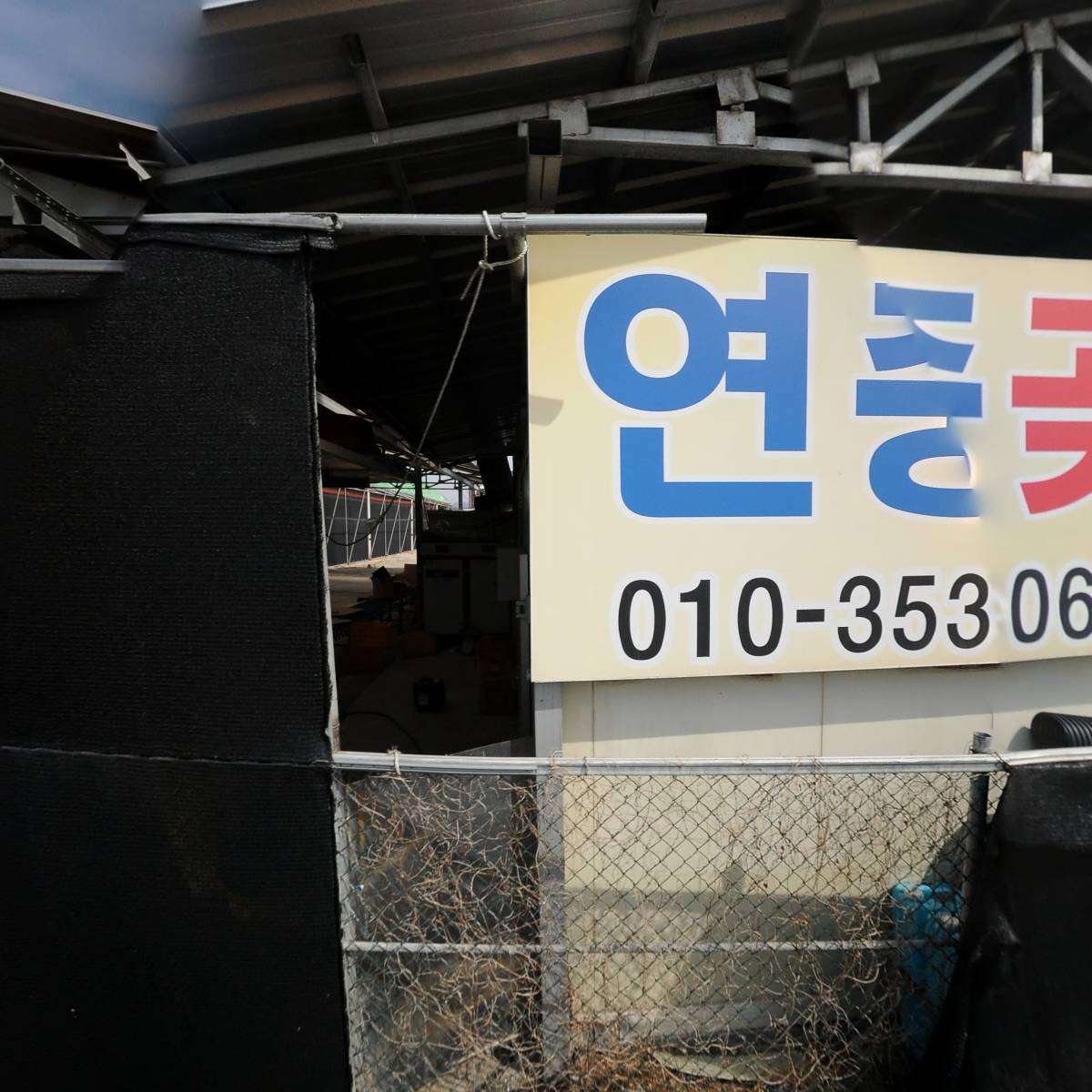 상주명품곶감_3