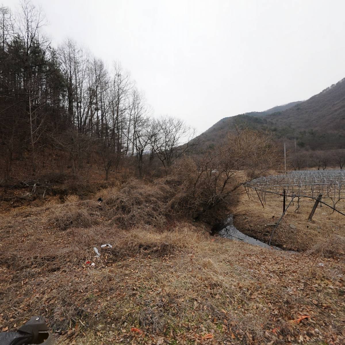 장수황씨소윤공파종회