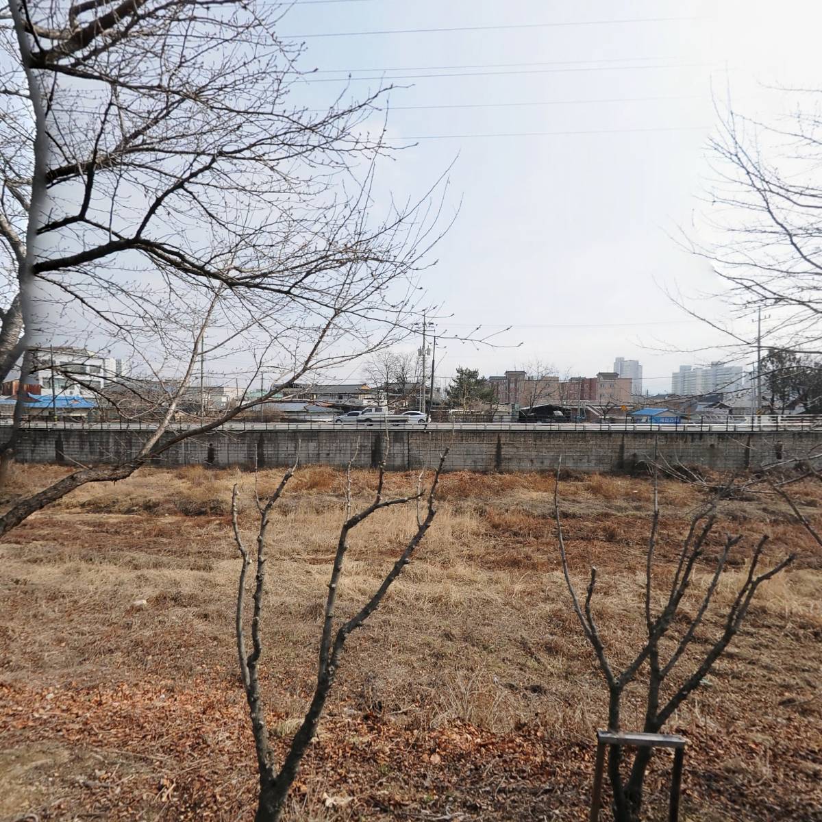 상주토성곶감농원