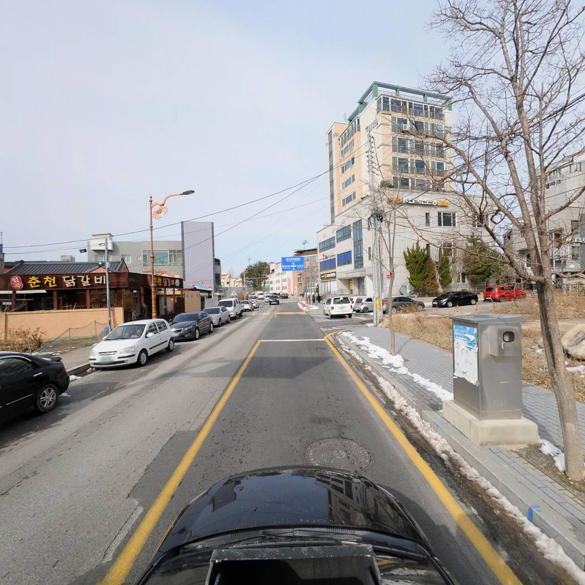 비둘기혼수방_4