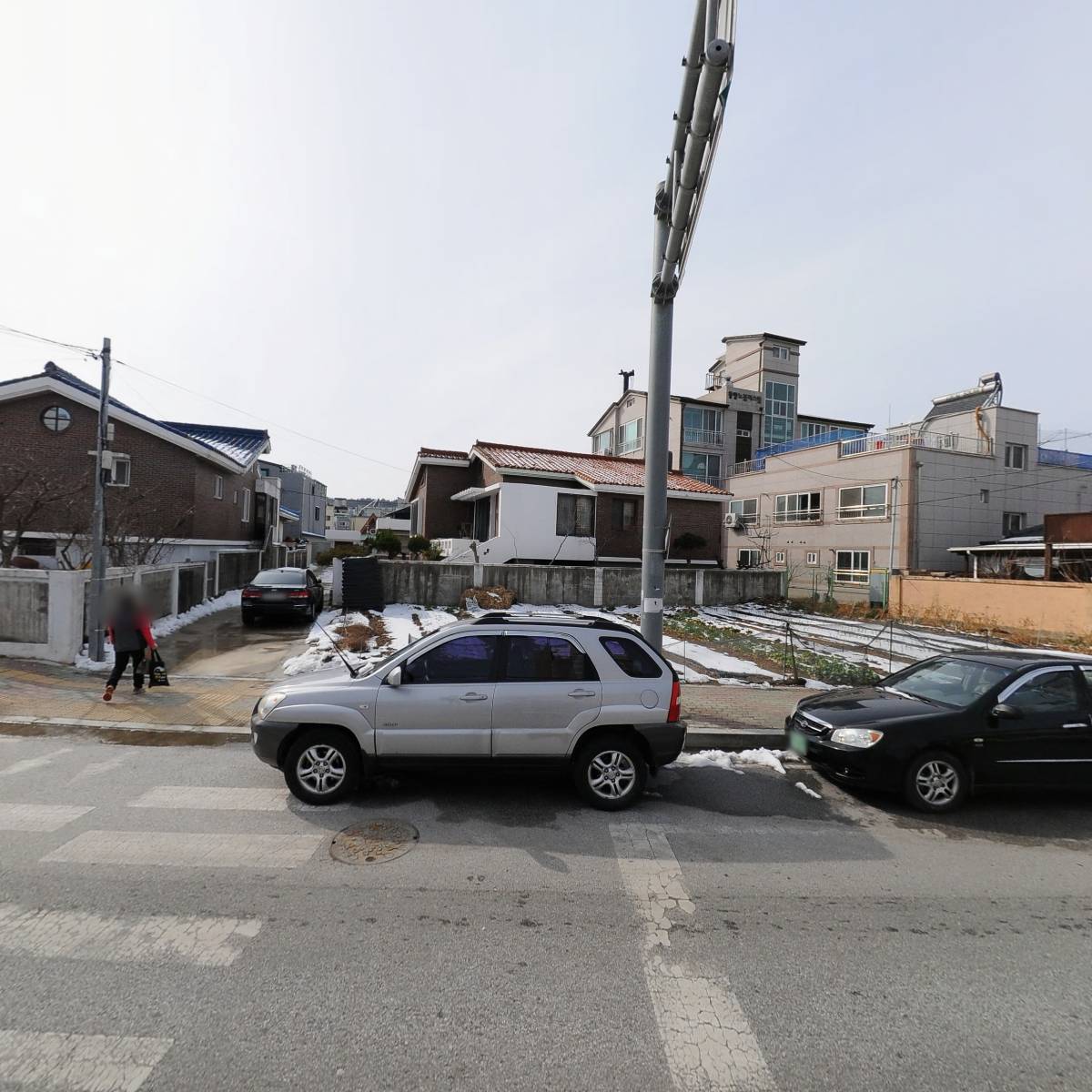 비둘기혼수방_3