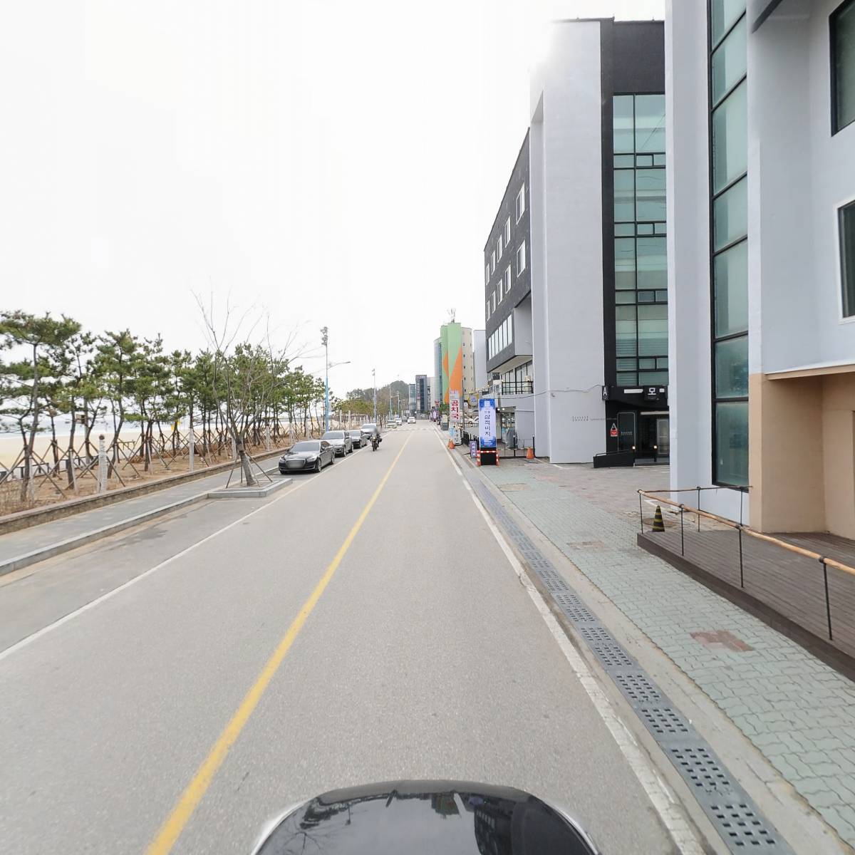 모그(Mog)_4