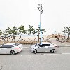 모그(Mog)_3