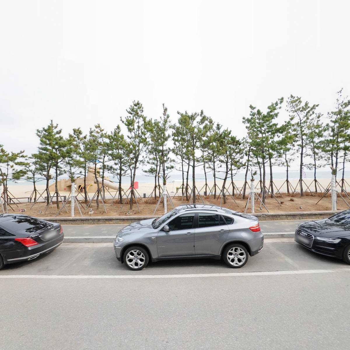 메가엠지씨커피삼척해수욕장점_3