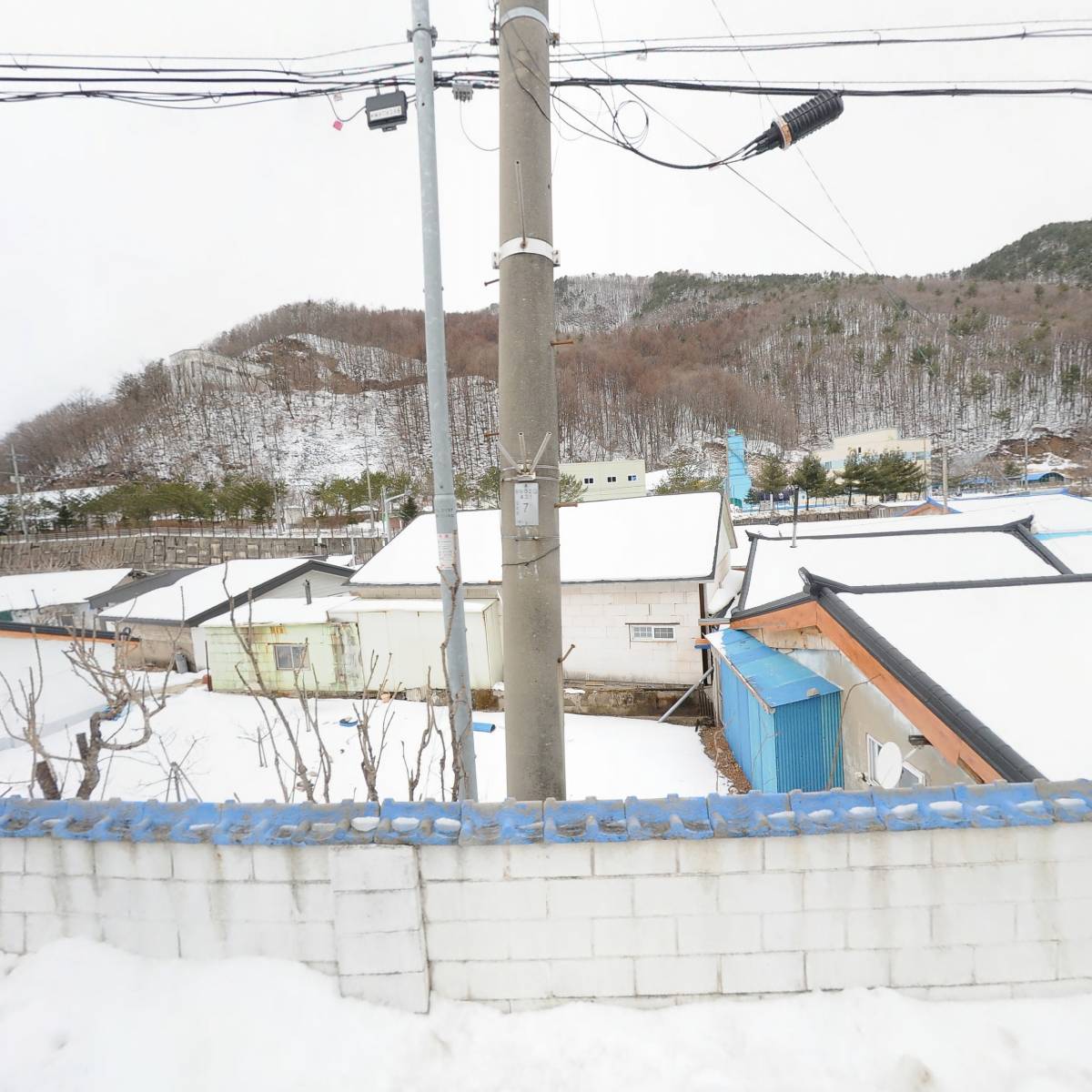 신한국