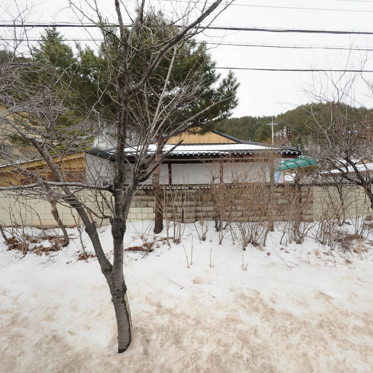 태백시니어클럽