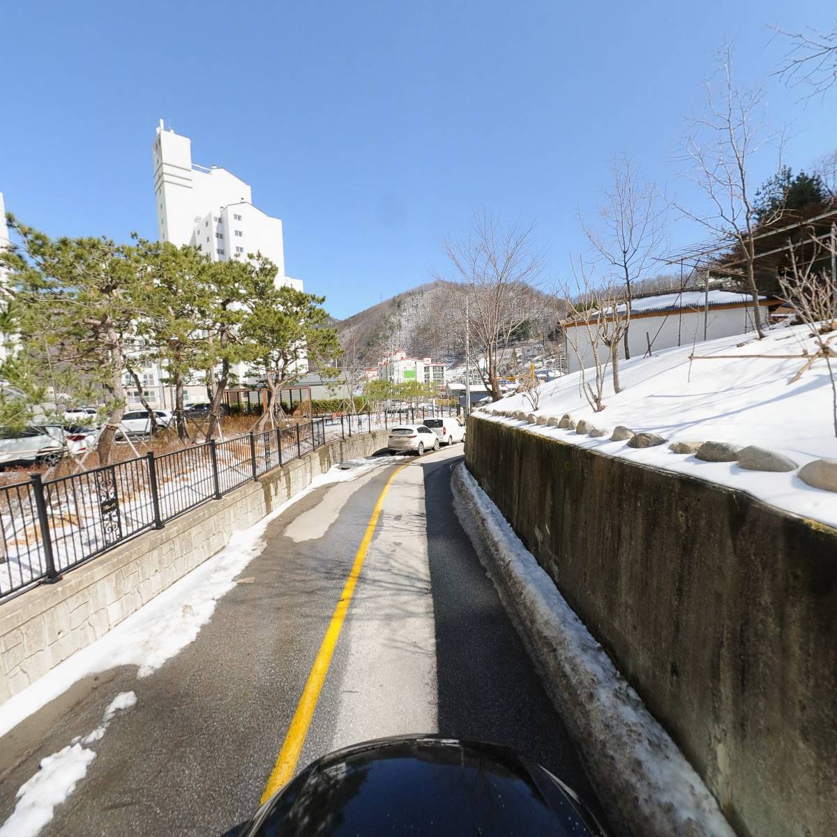 태백시 고양이 보호 협회_4