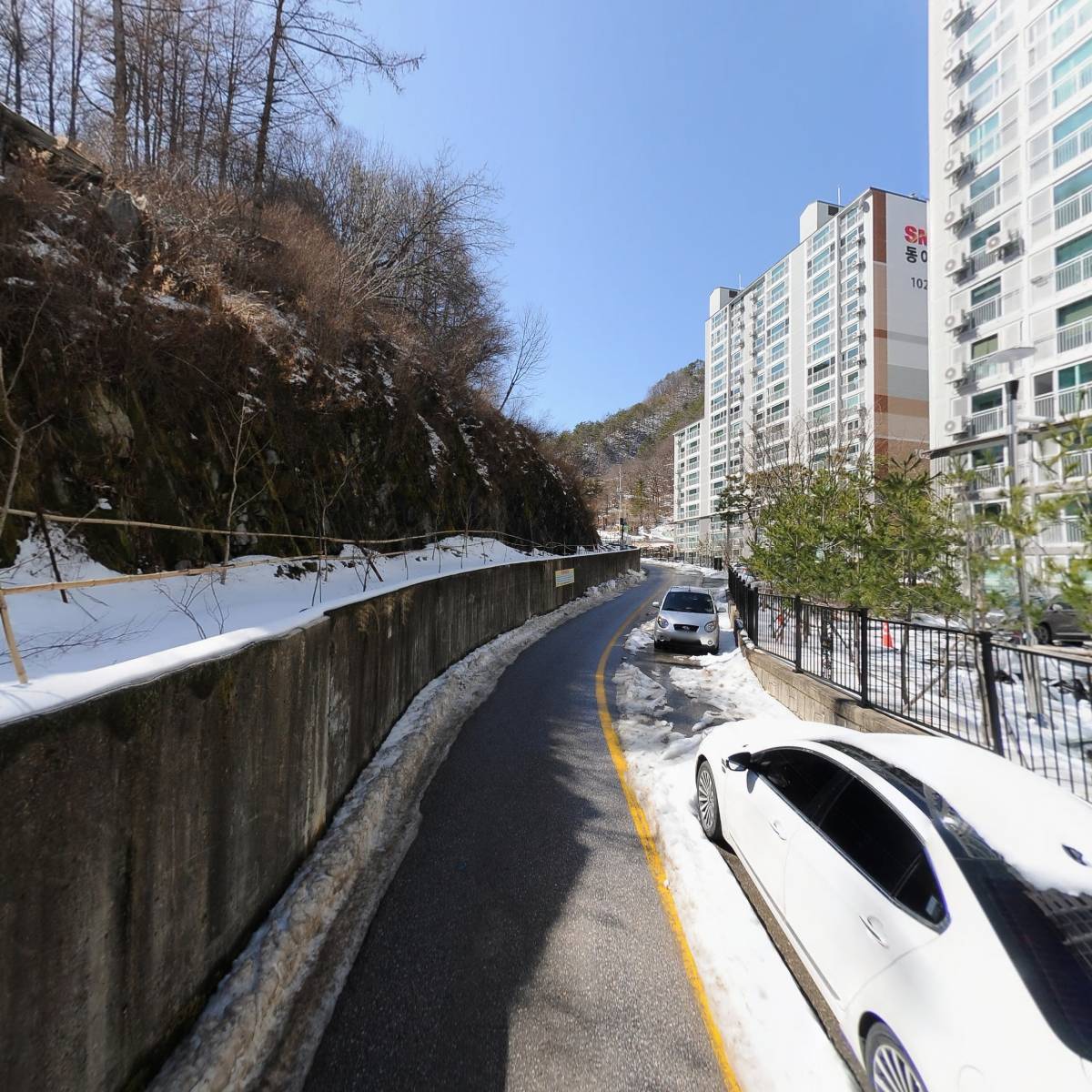 태백시 고양이 보호 협회_2