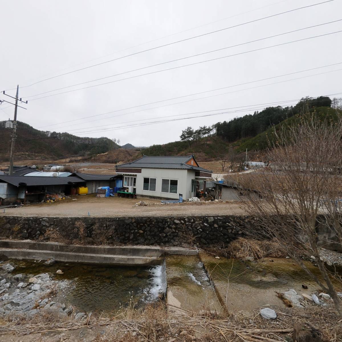 녹전중학교 제17회 동창상조회_3