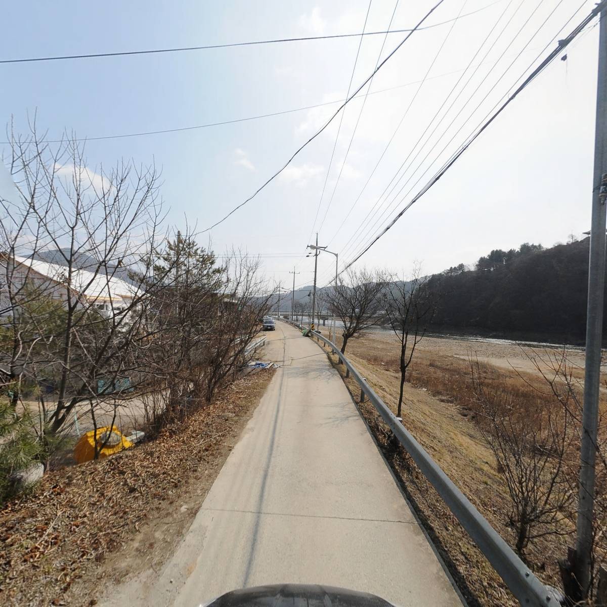 강원 농산물_4