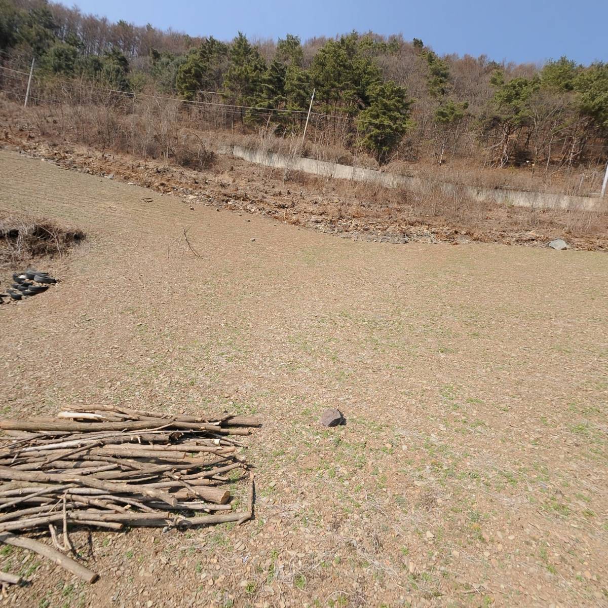 동강한우영농조합법인