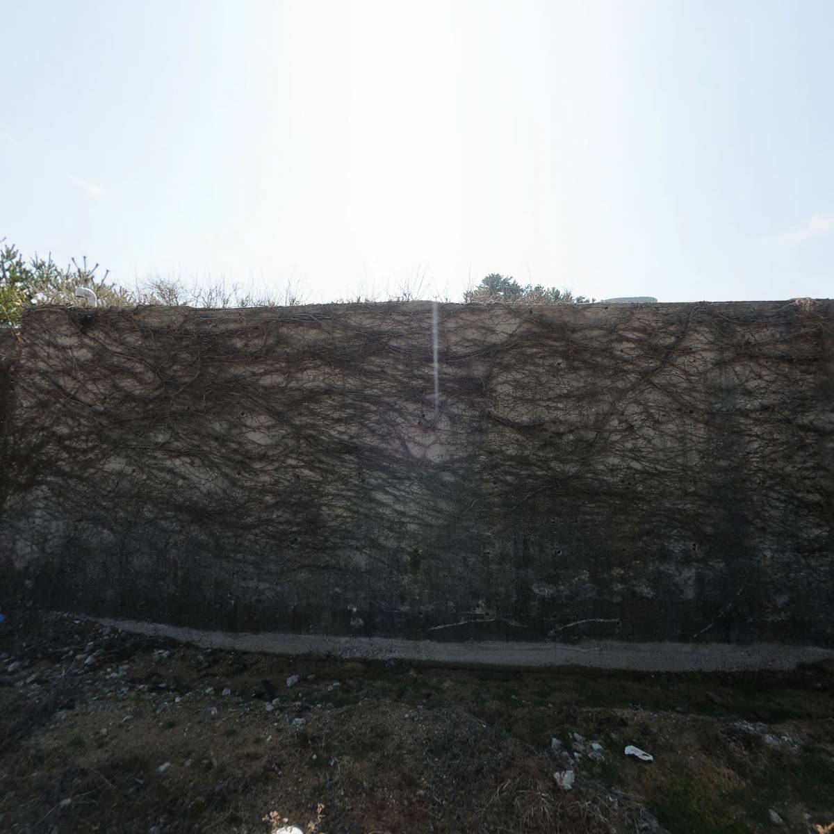 동명수산_3
