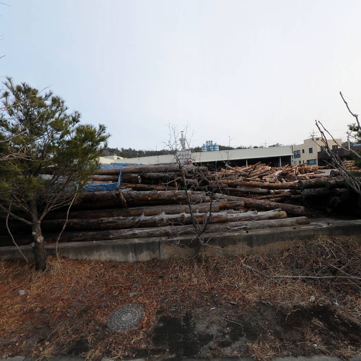 대영산업