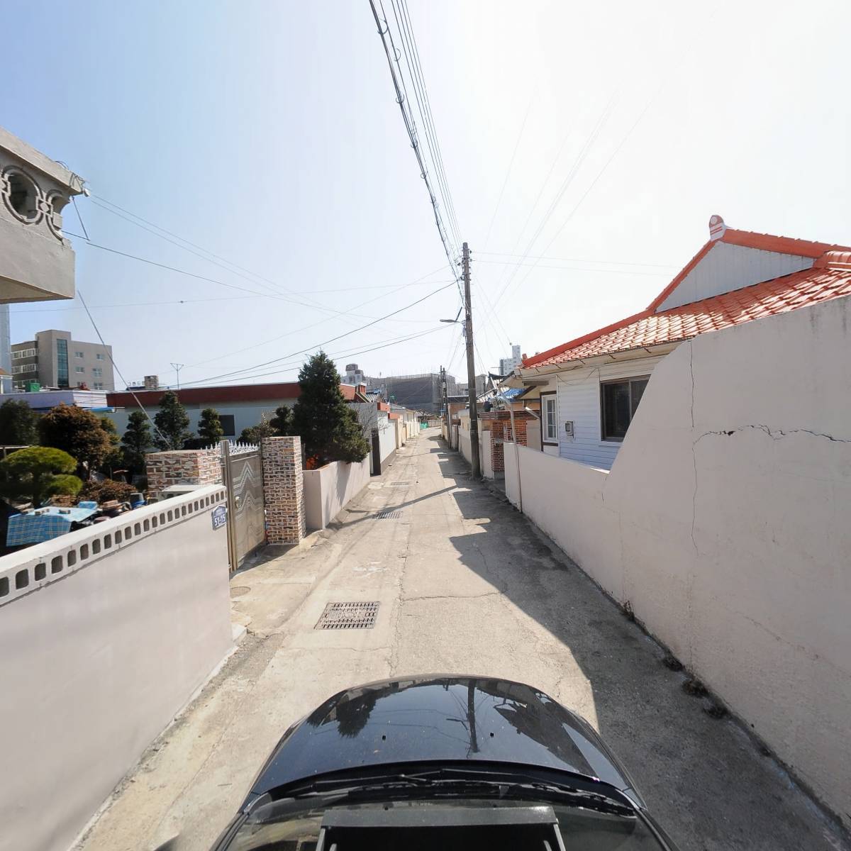 지역대표작목 양파육성사업 연구회_4