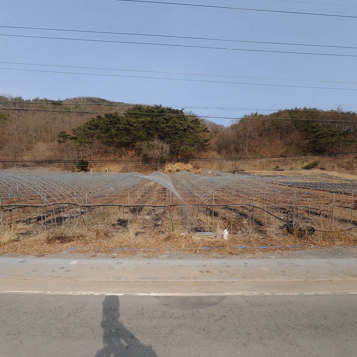 주리농장_3