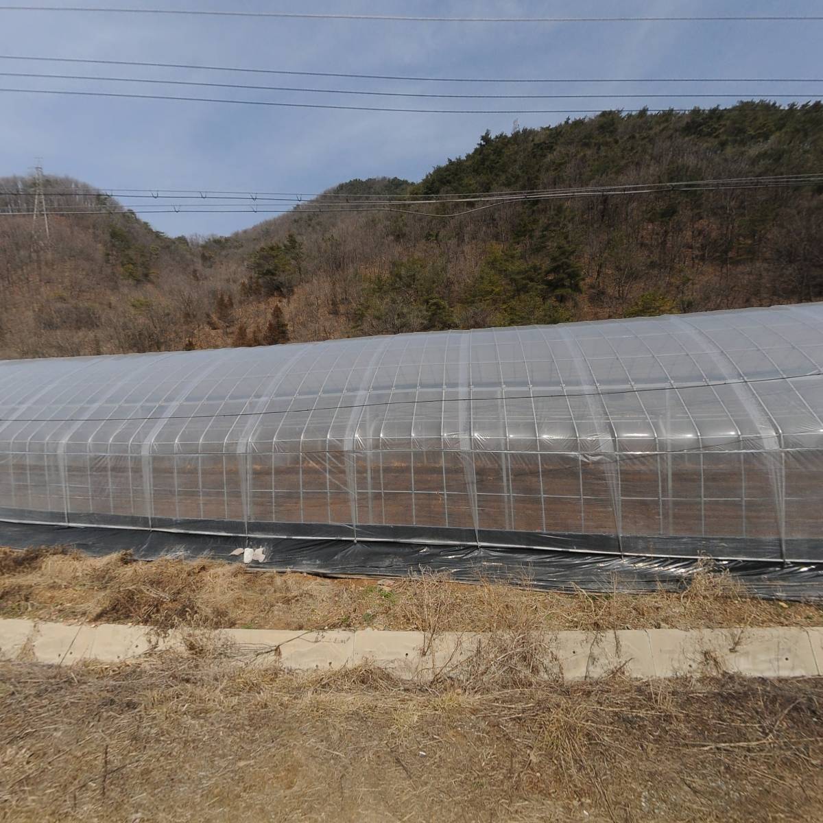 한올영농조합법인