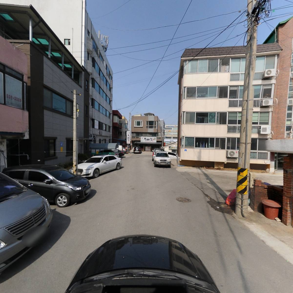 윤제린 자연염색_4