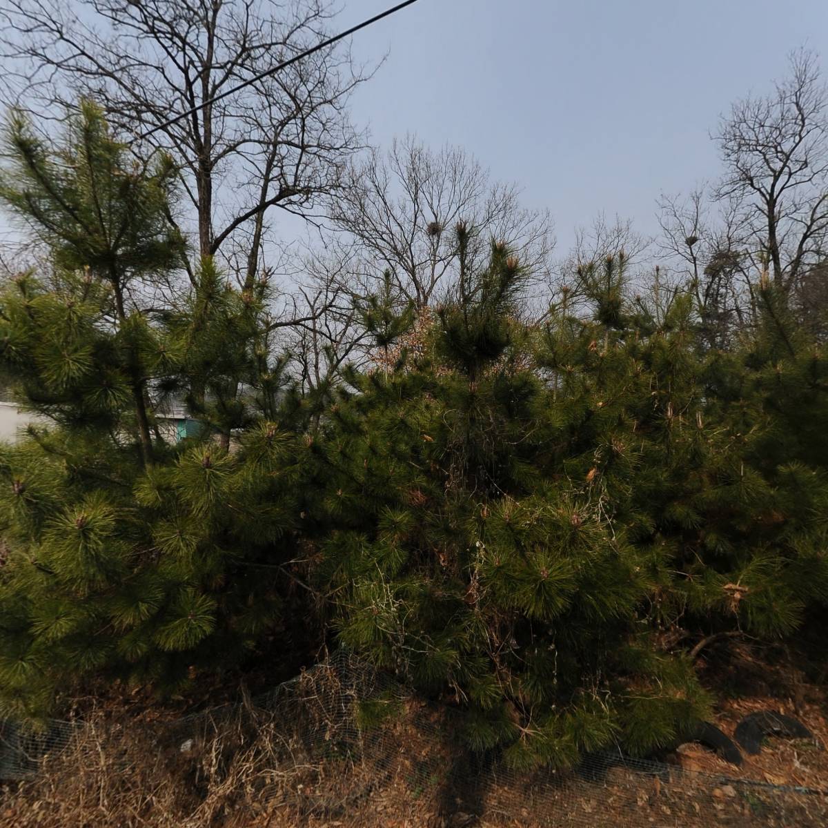 오리주유소