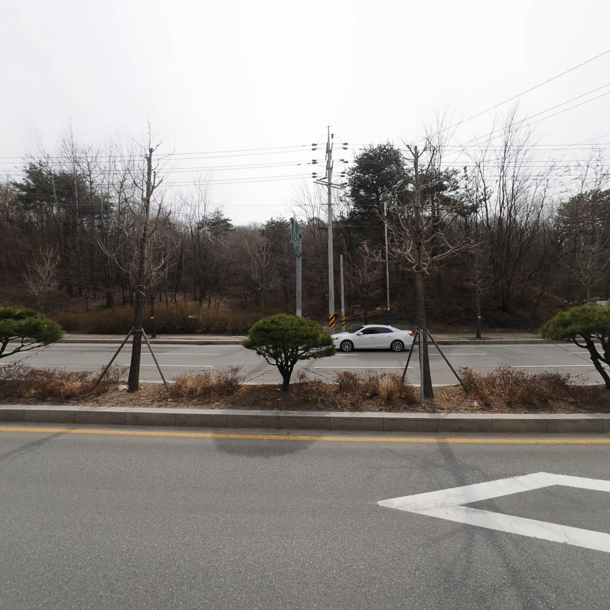가장맛있는족발속초조양점_3
