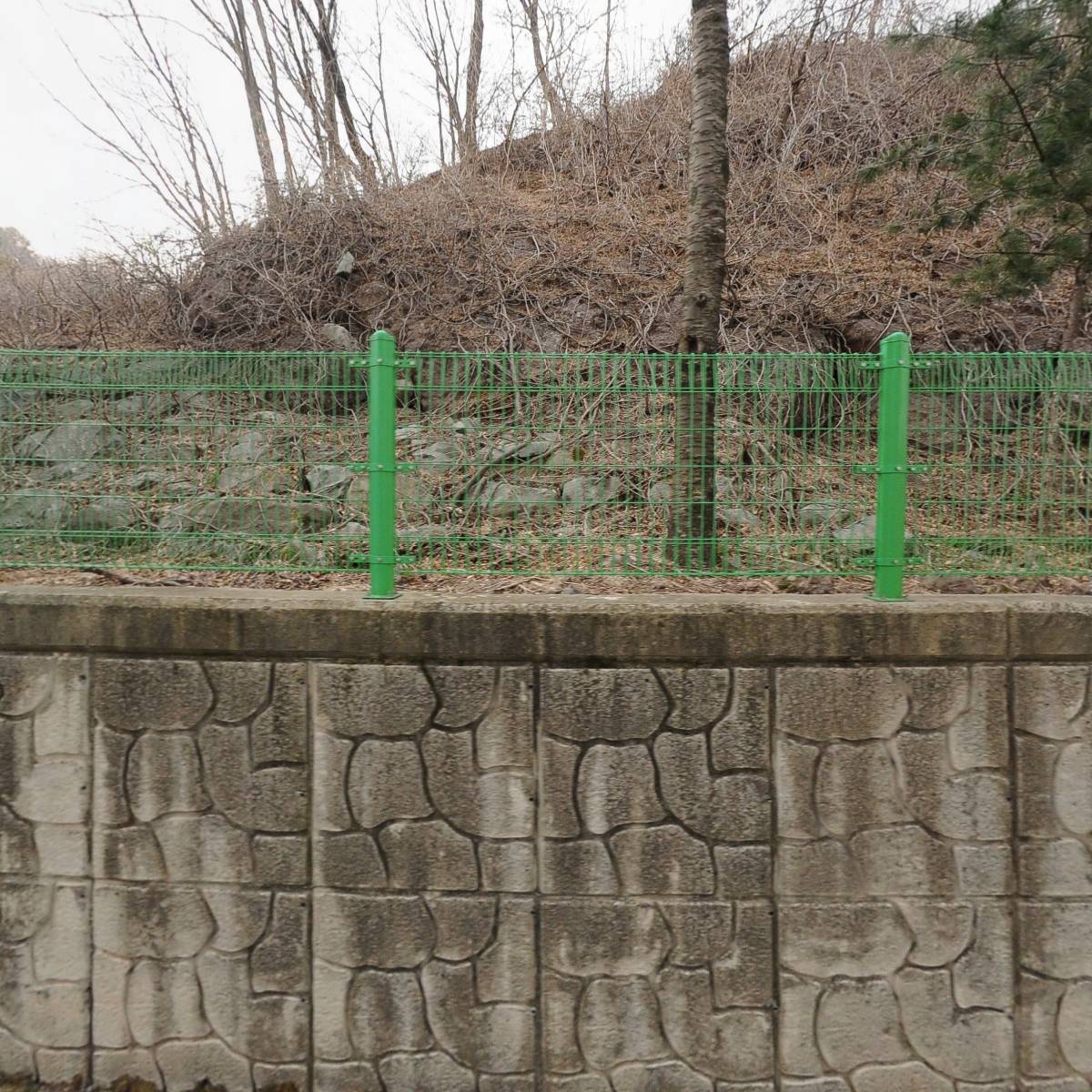 사단법인 한국사진작가협회태백지부