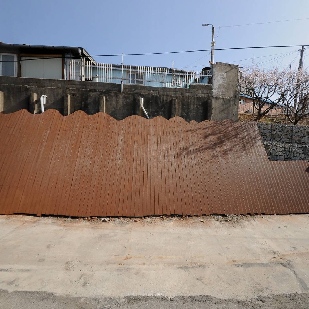 과일집프루츠하우스동해점_3