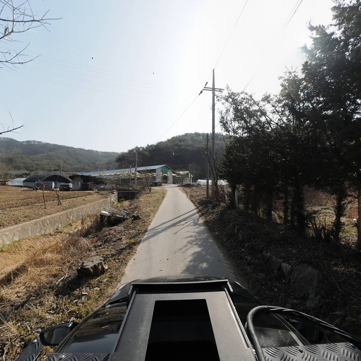 횡성한방꽃차연구소_4