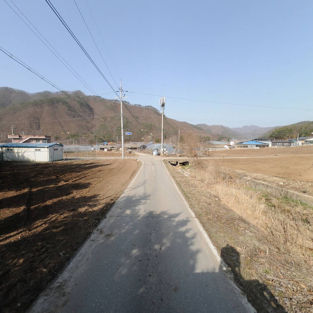 횡성한방꽃차연구소_2