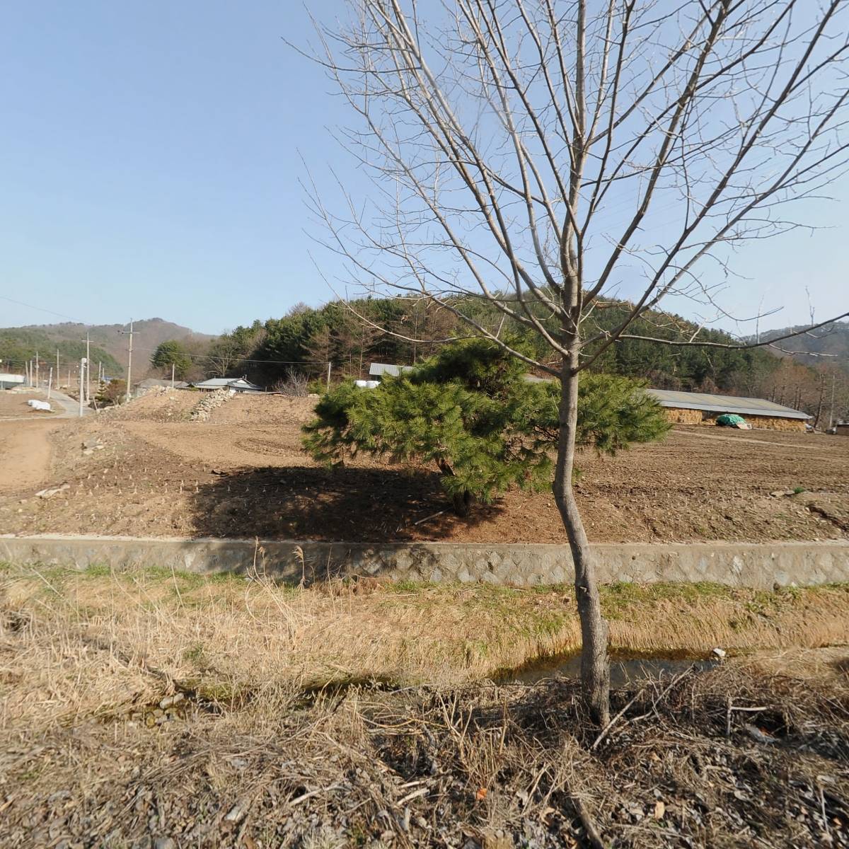 횡성한방꽃차연구소_3