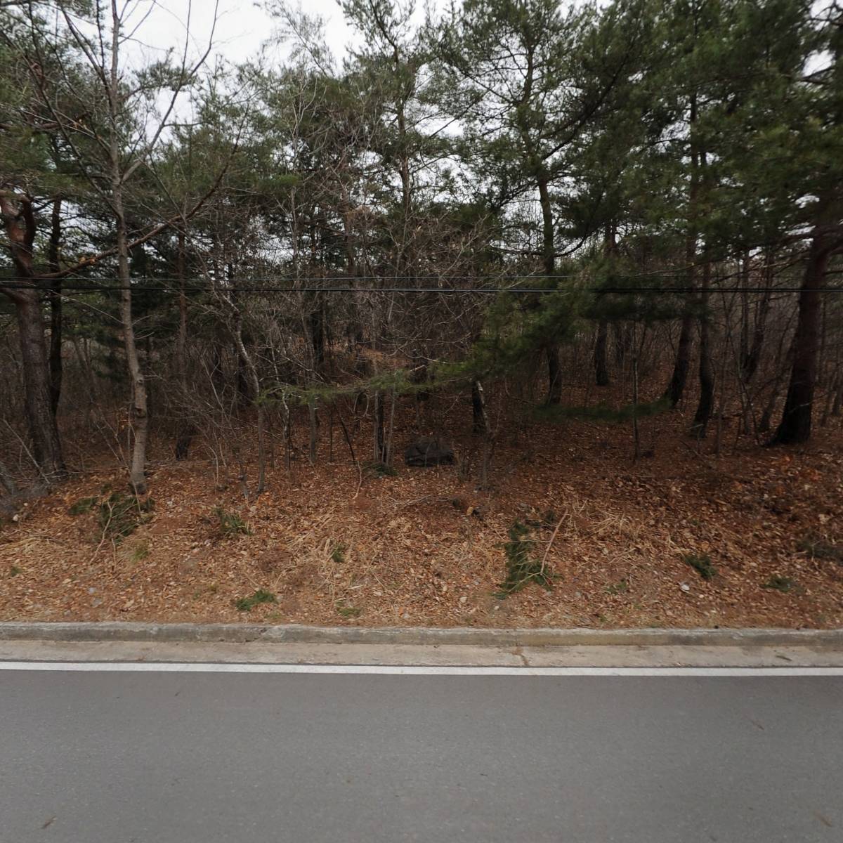 서핑스토리_3