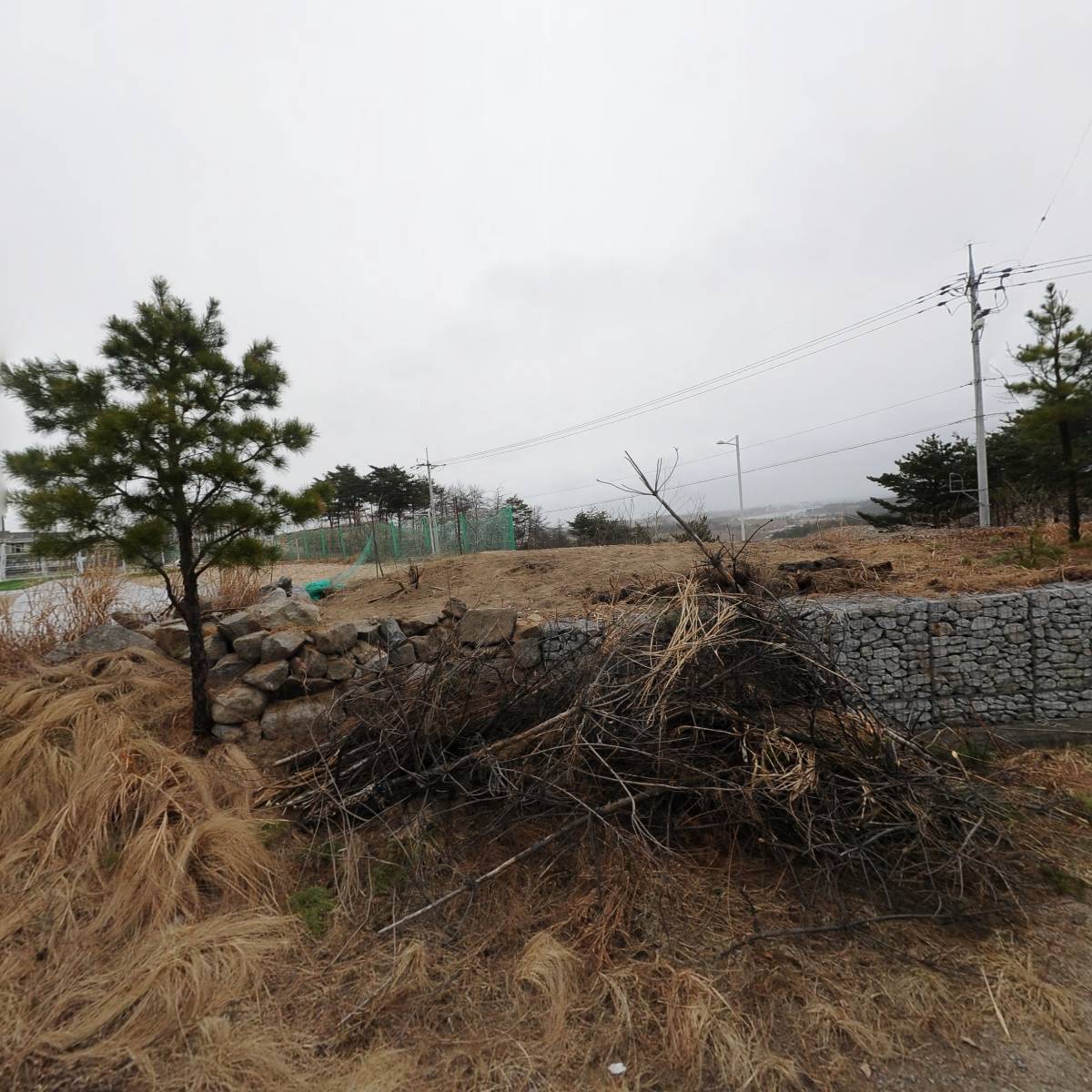 보성자원