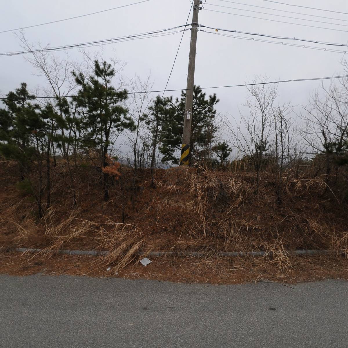 보성자원_3
