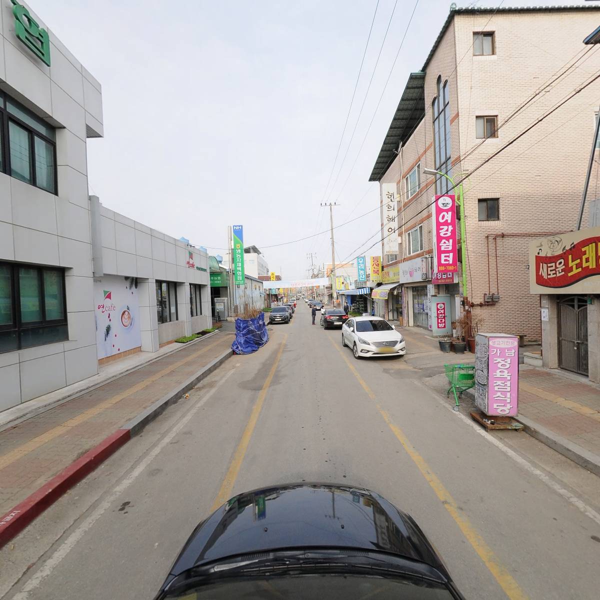 촌닭이 두마리_4