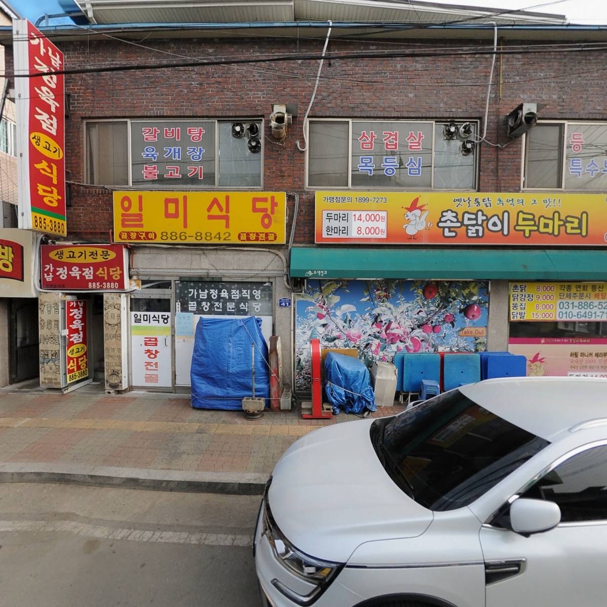 촌닭이 두마리
