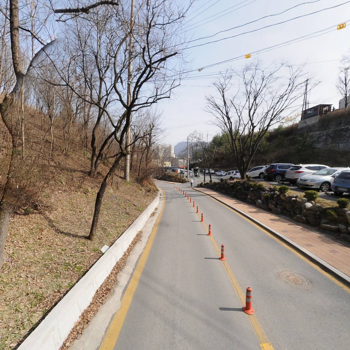 영월군청_2