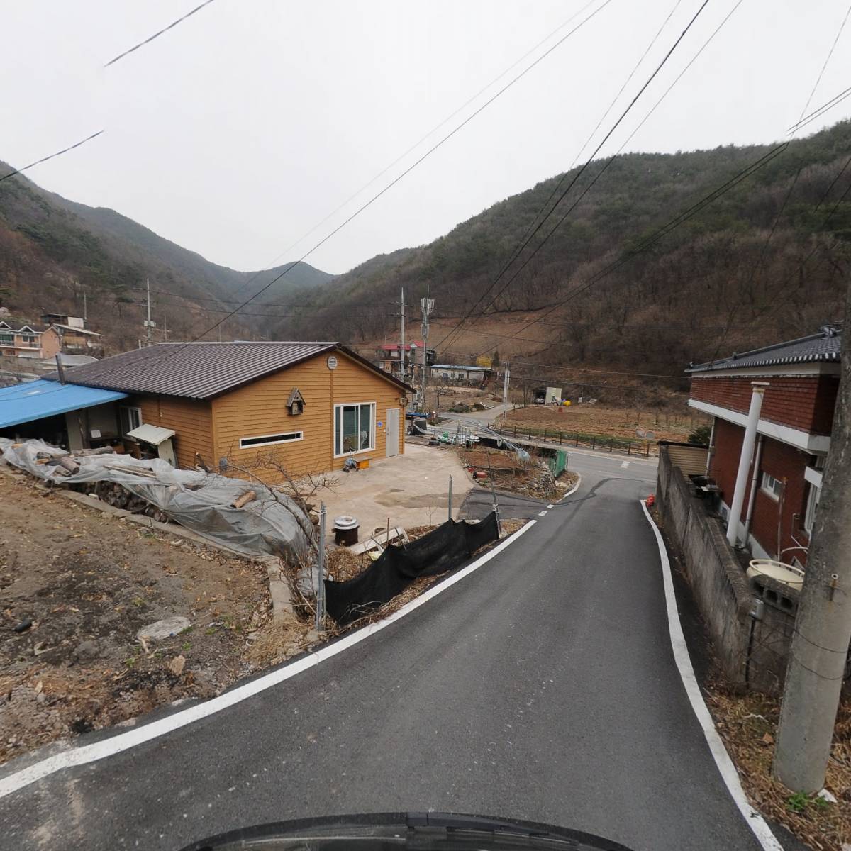 영월산약초_2