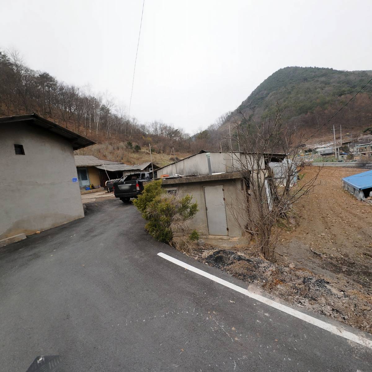 영월산약초