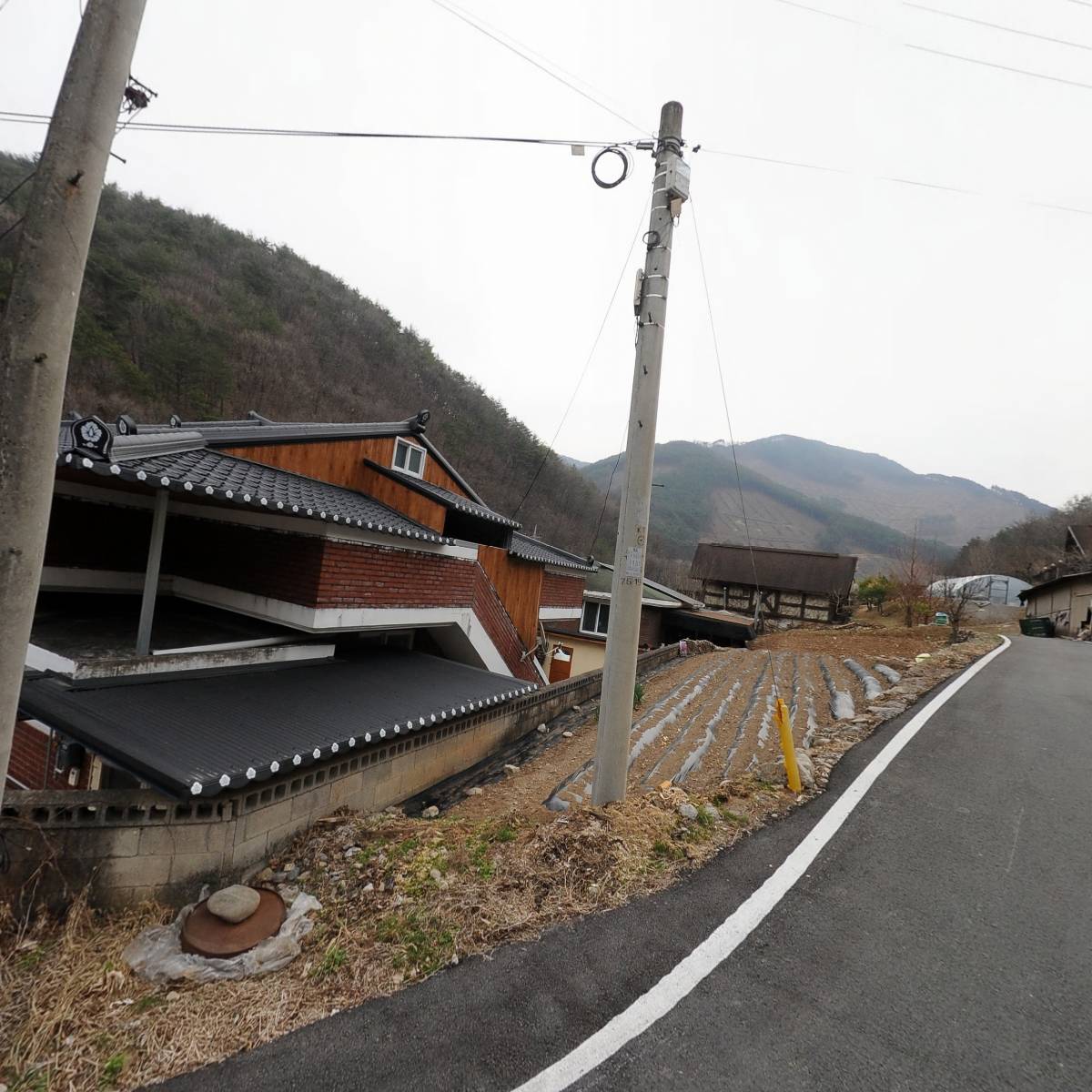 영월산약초_3