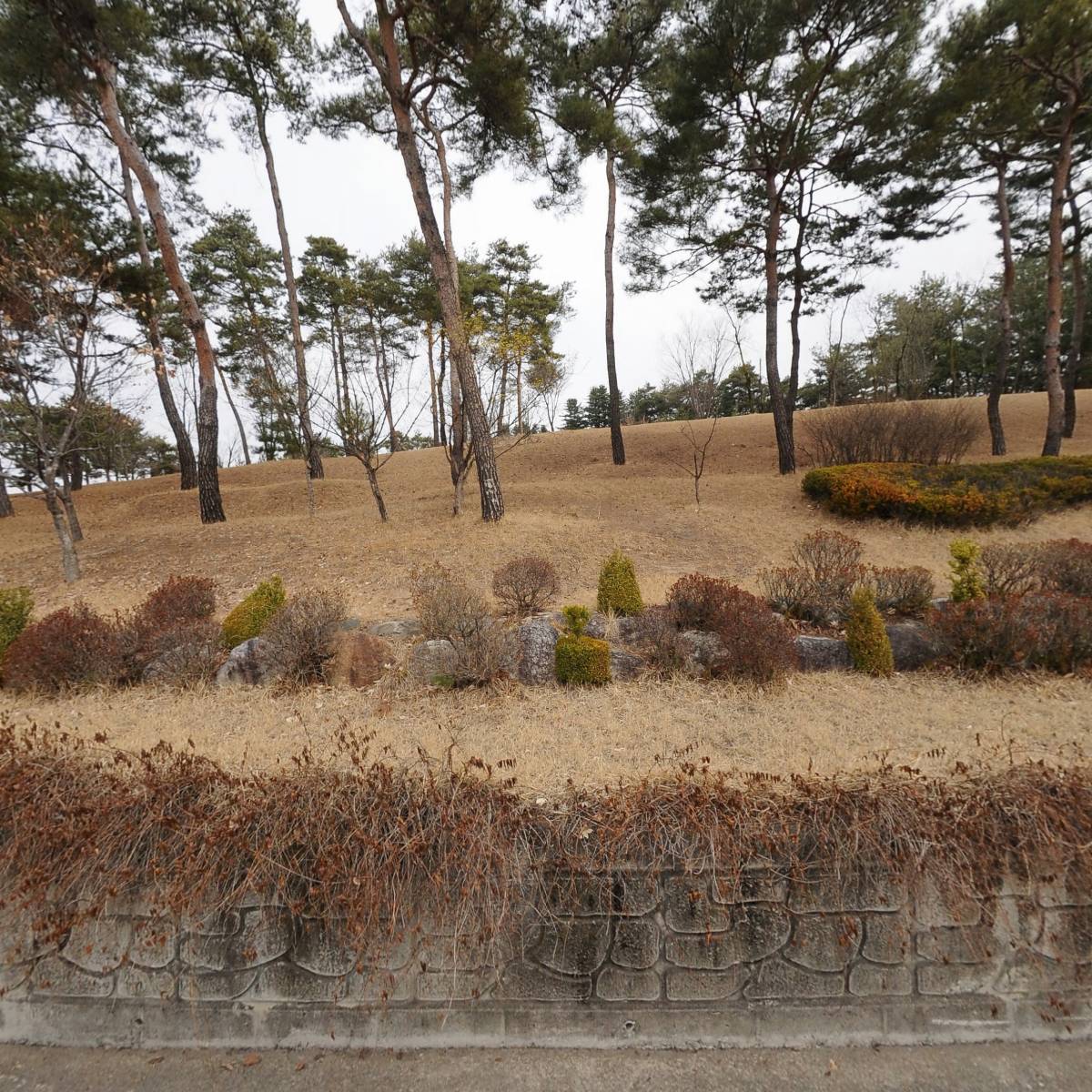 농업회사법인 자연그대로 농업주식회사