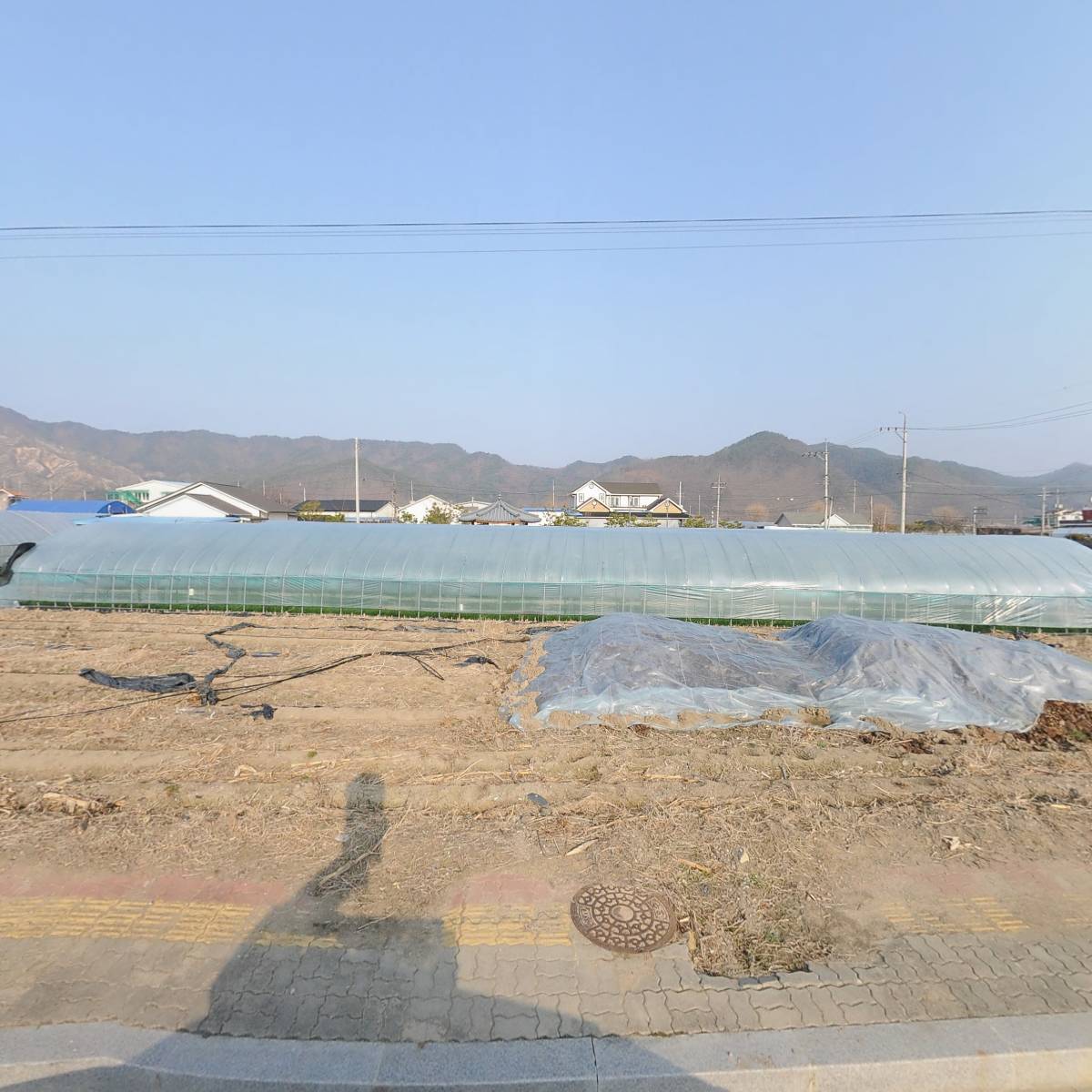 로젠택배(양구)