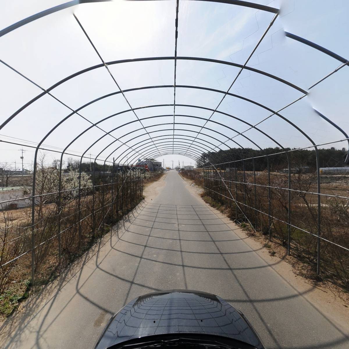 토성농업협동조합백촌지점_4