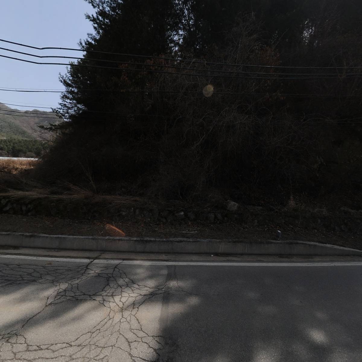베일리코티지_3