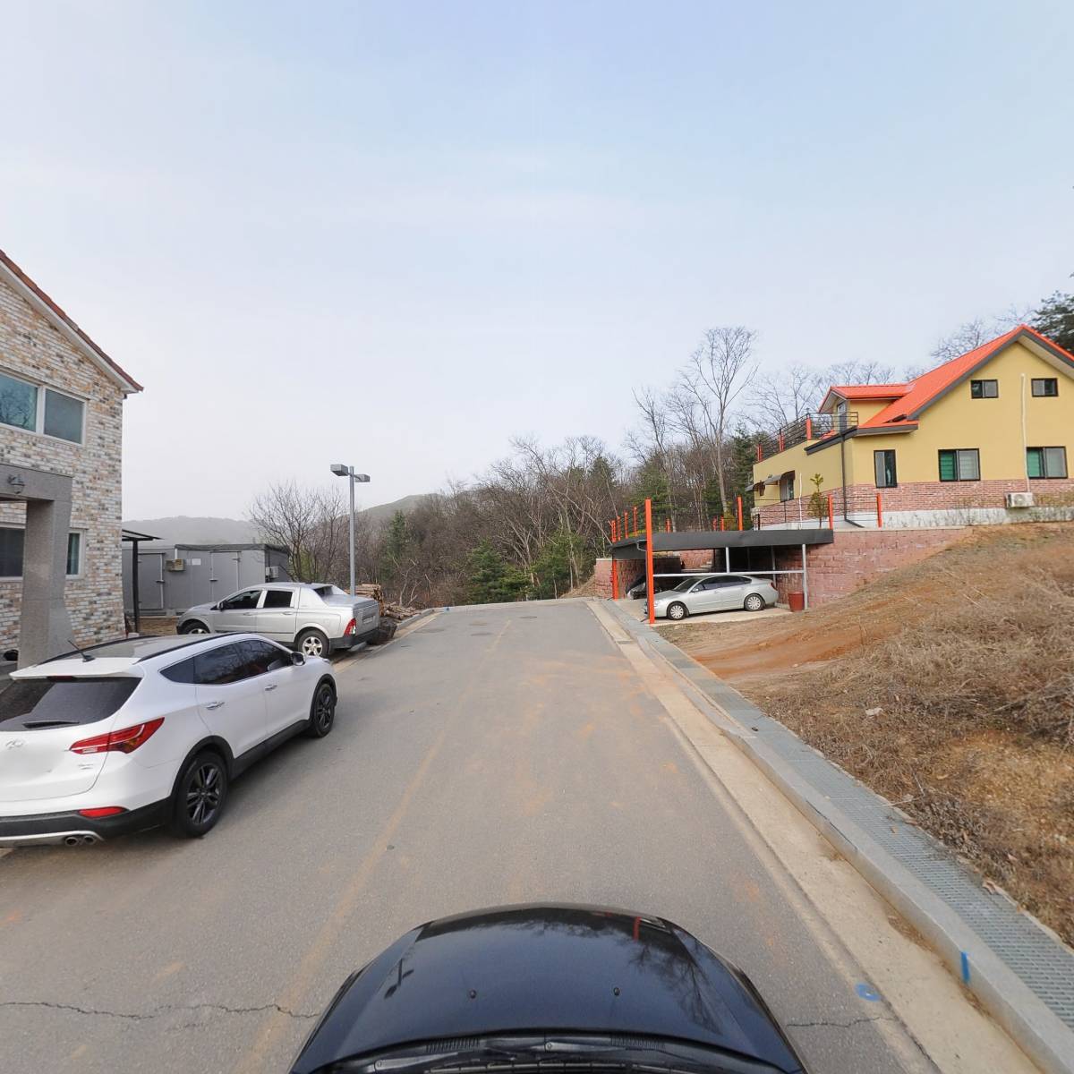 화천자색와송_4