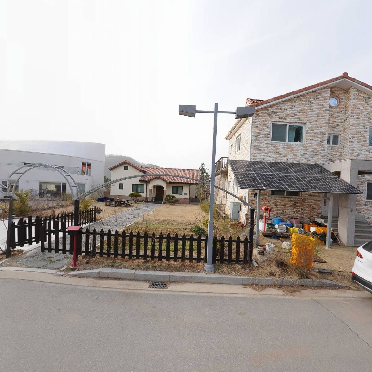 화천자색와송_3