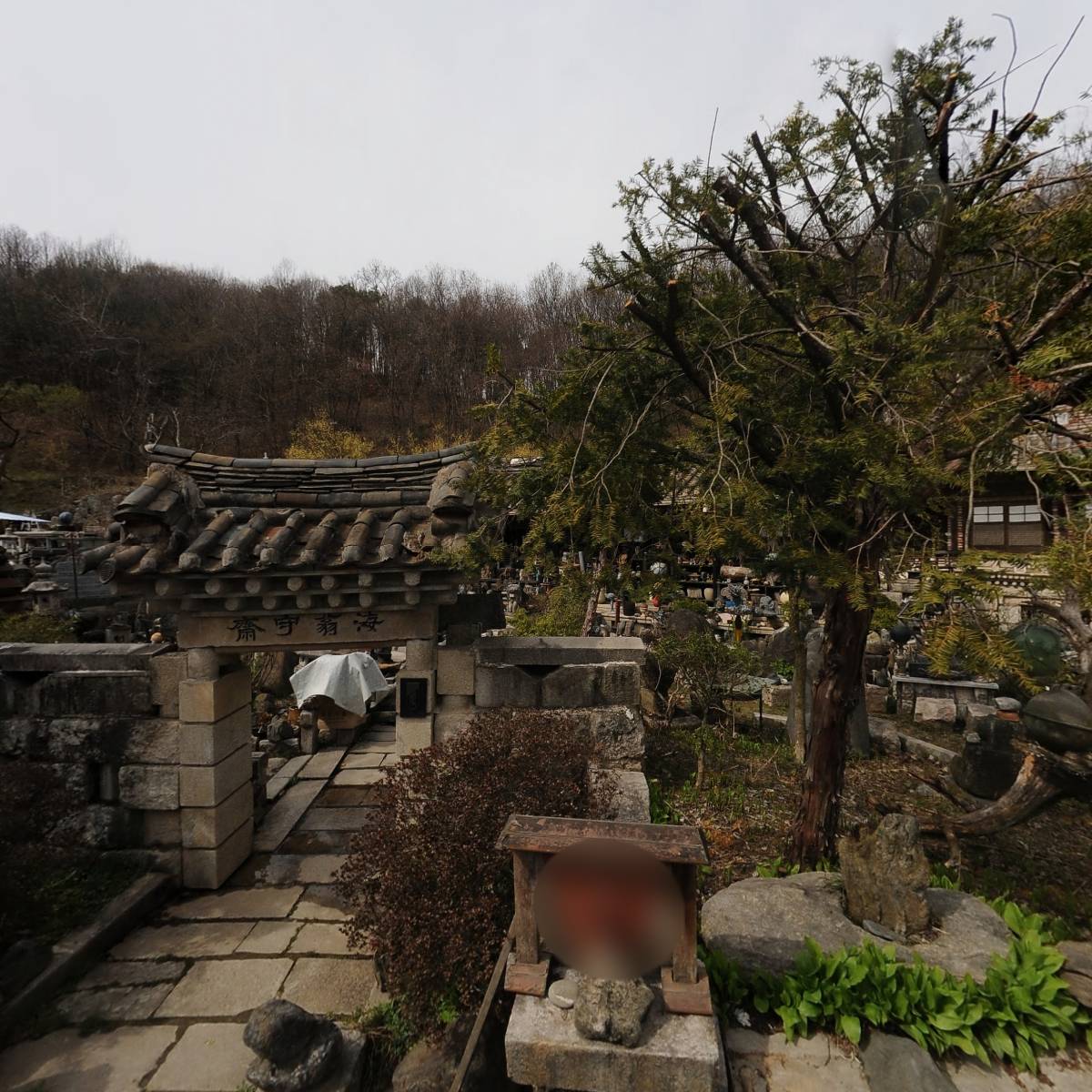 최태귀 현악기연구원